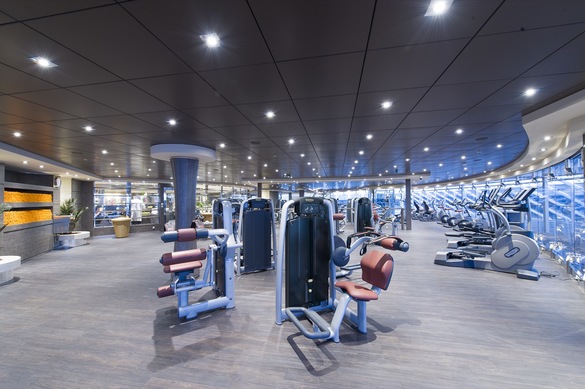 MSC Cruises MSC Preziosa Gym.jpg